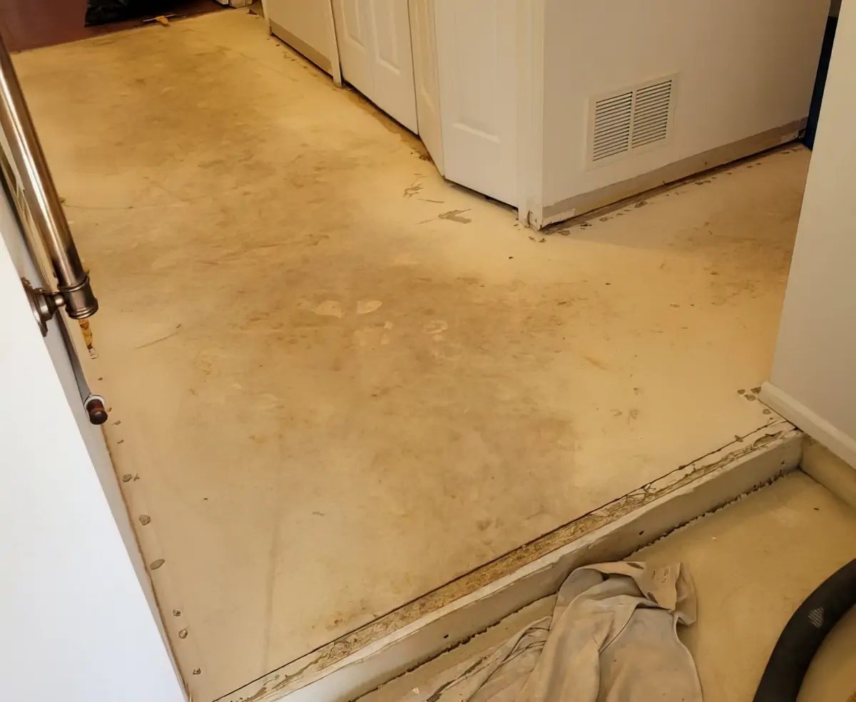 Before